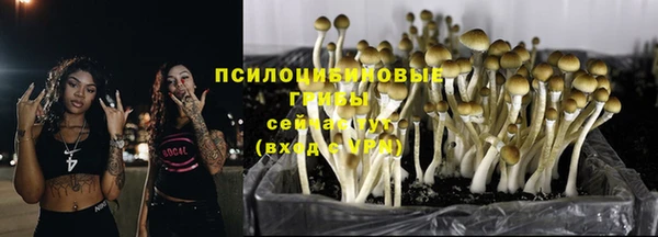 ALPHA PVP Баксан