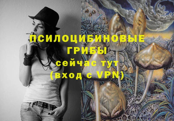 ALPHA PVP Баксан